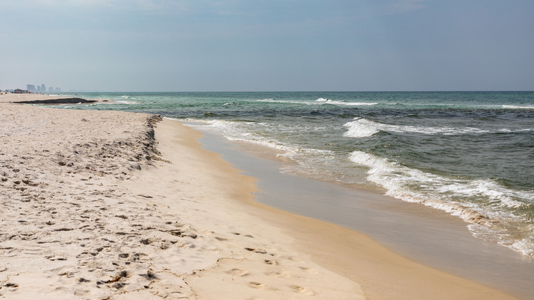 View of the shoreline at Camp Helen State Park