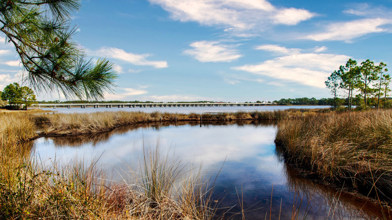 View of Philips Inlet and Lake Powell at Camp Helen State Park