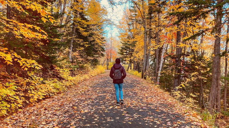 A woman walking through Sugarloaf Provincial Park on an autumn day near Campbellton, NB