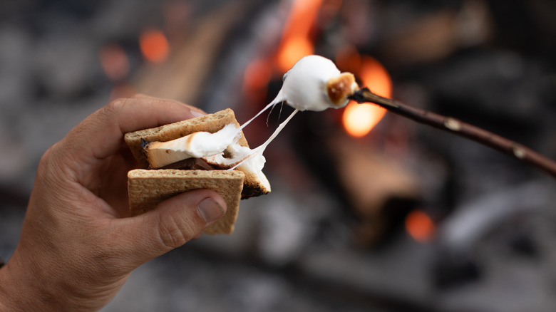 hand holding a s'more over a campfire