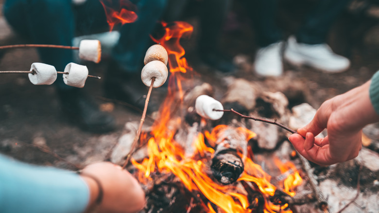 Campers sitting around the fire roasting marshmallows
