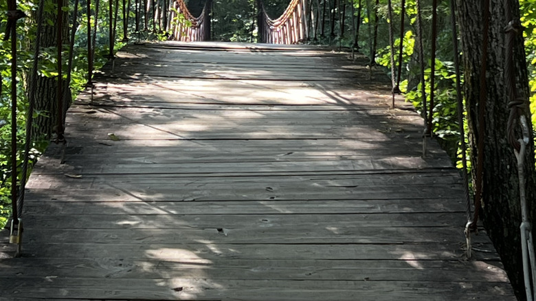 A suspension bridge in a park