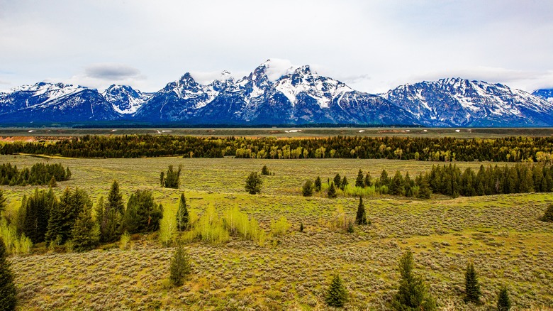 Panoramic view of the snow-capped Teton Range