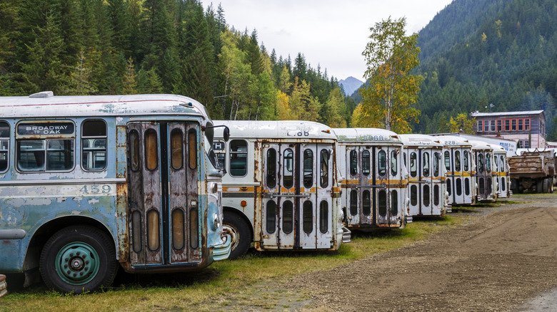 vintage buses lined up in Sandon, British Columbia