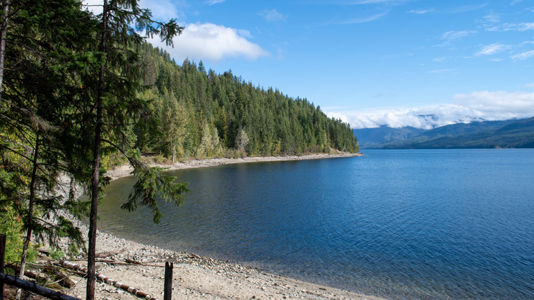 The shoreline at Adams Lake, British Columbia