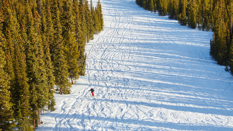 Overhead shot of a lone skier at Marmot Basin Ski Resort