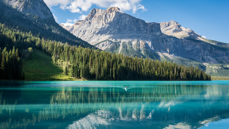A single canoe on Emerald Lake in Yoho National Park Canada