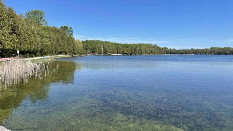 Lake shore surrounded by trees as seen at Driftwood Beach Resort near Palmerston, ON.