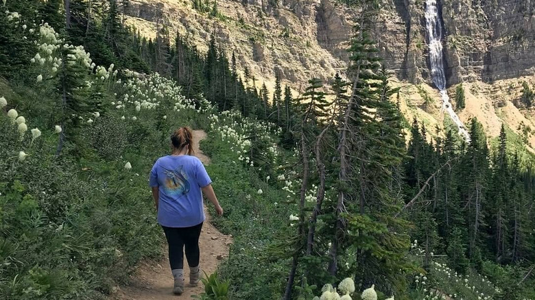 A hiker on a trail framed with wildflowers at Waterton Lakes National Park
