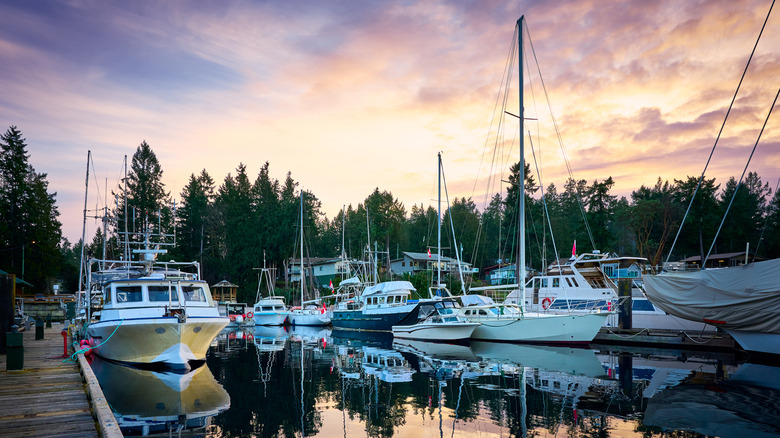 A collection of boats sits moored in a harbor at sunset
