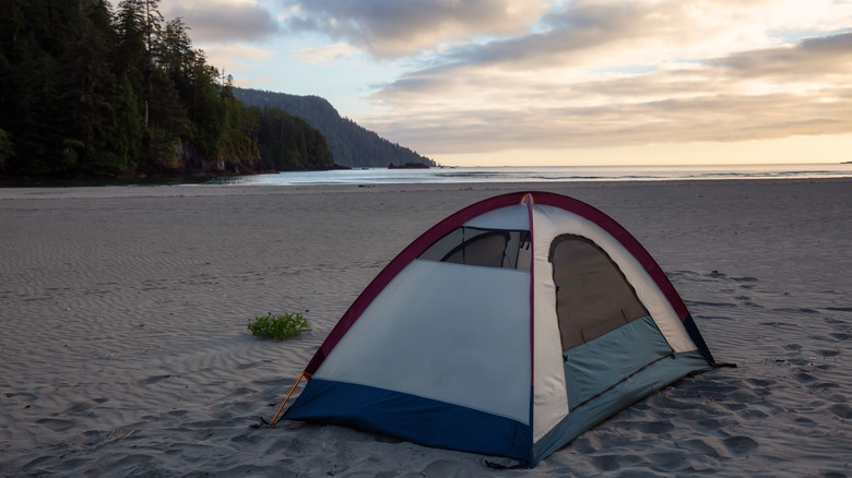 Tent on a beach at San Josef Bay on Vancouver Island in BC, Canada