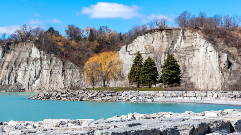 Limestone cliffs and trees at Scarborough Bluffs on Lake Ontario, Canada