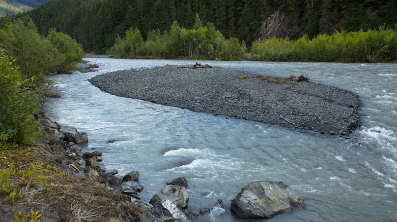 A rocky island in the Ningunsaw River, surrounded by dense forest