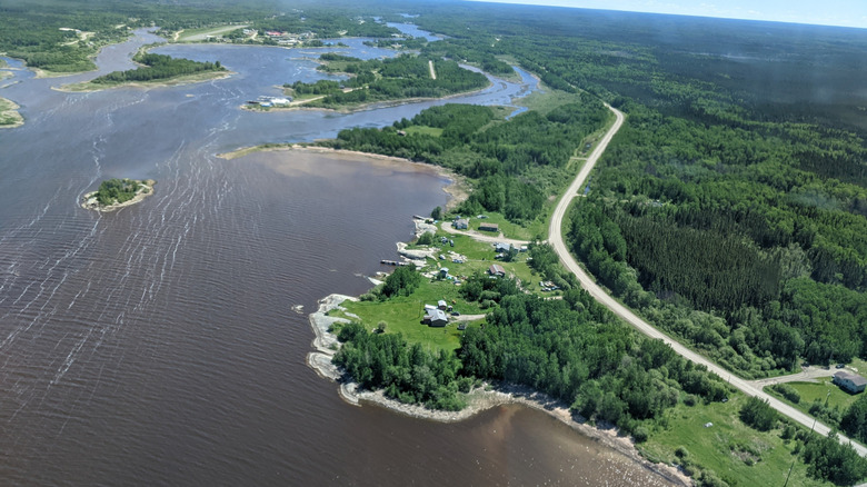 Tree-lined shoreline of Lake Winnipeg in the Poplar/Nanowin Rivers Park Reservce