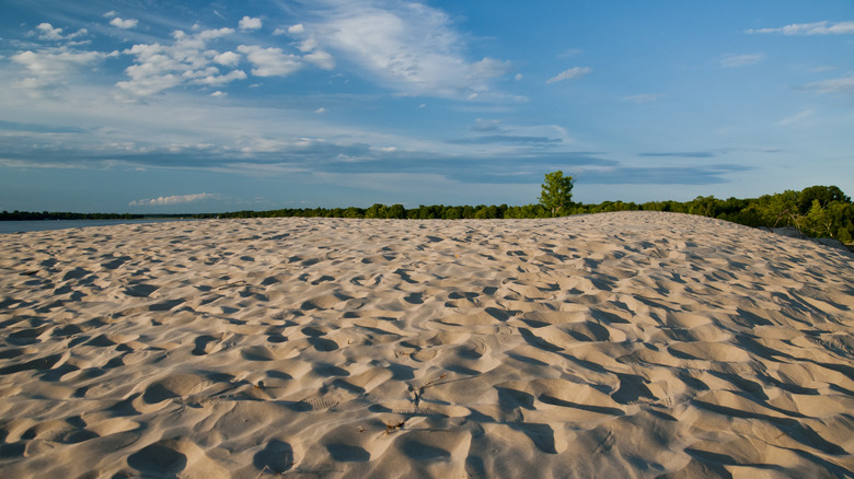 Golden sand dune in Sandbanks Provincial Park, Ontario, on a sunny day with mostly clear skies.