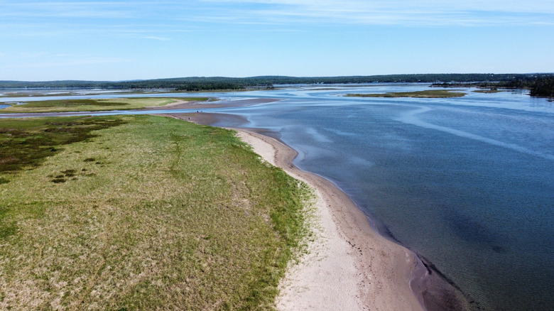 Grassy dunes and a sandy beach against a calm sea seen from above.