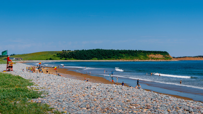 People enjoying their time at Lawrencetown Beach Provincial Park on a clear day