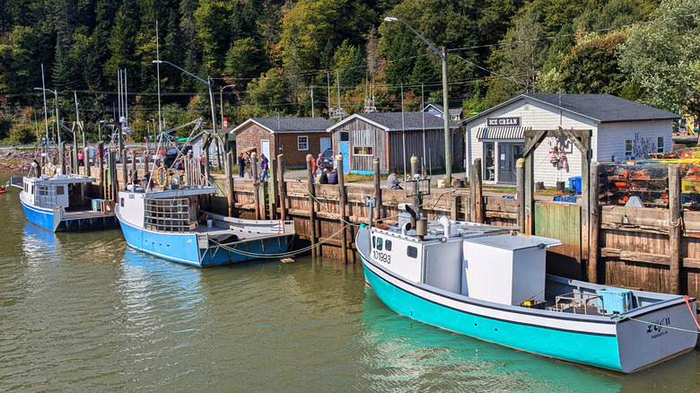 fishing boats in St. Martins