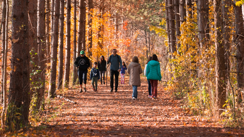 People hike in autumnal woods