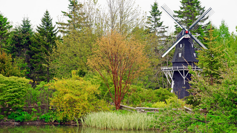 View of the windmill in Kingsbrae Gardens