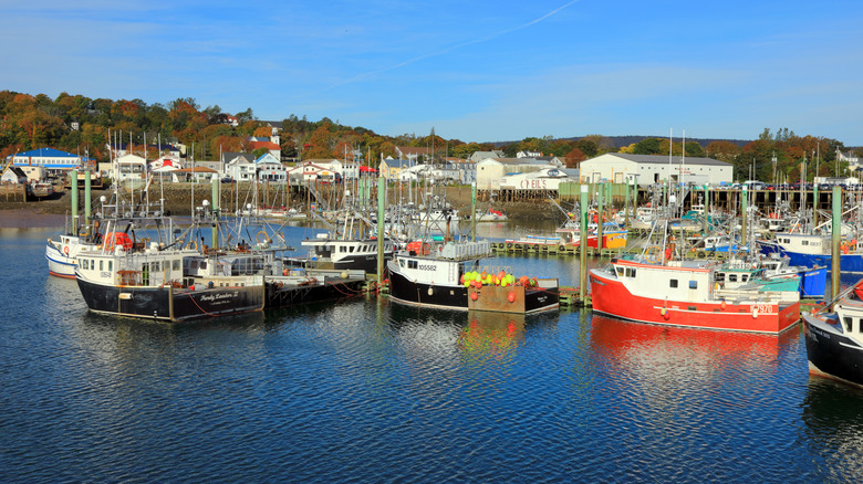Boats anchored in Digby Harbor, Nova Scotia