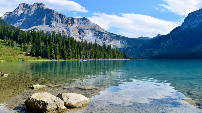 The shoreline on Emerald Lake, Canada, surrounded by rocky mountains, glaciers, and pines