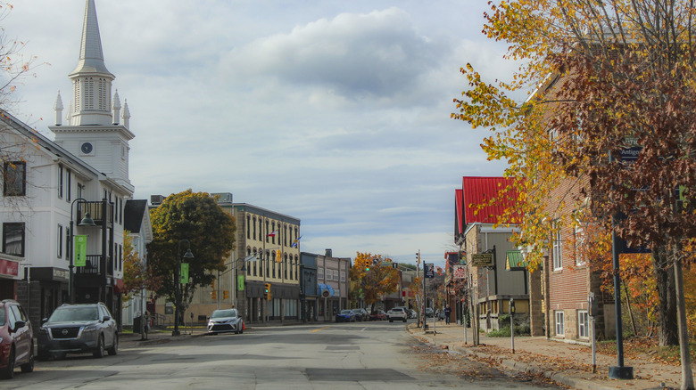 A street lined with trees and buildings on a cloudy autumn day in Antigonish, NS