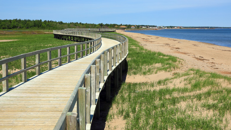 The boardwalk at Bouctouche Beach stretches along grass-covered sand dunes beside golden sands and bright blue water into a crisp and pale sky