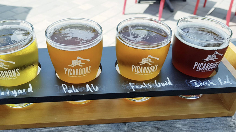 beer flight from Picaroons Brewing Company, Fredericton, Canada