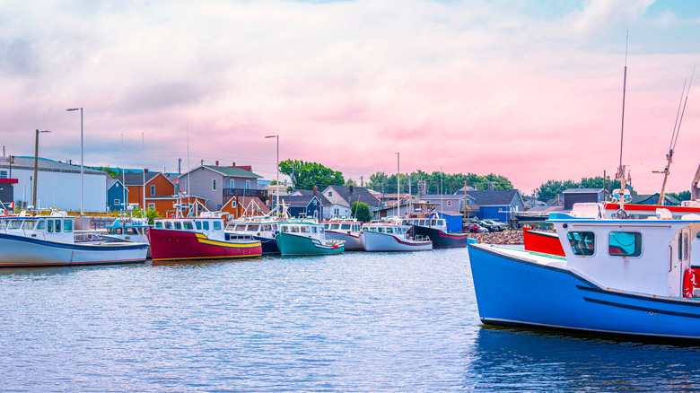 Colorful boats floating in the Cheticamp harbor at sunset