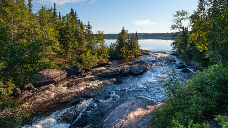 Water rushing between trees at Tulabi Falls in Nopiming Provincial Park