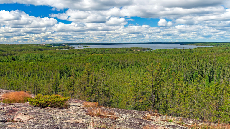 Rocky terrain and sprawling green forest, with a lake in the distance, at Nopiming Provincial Park