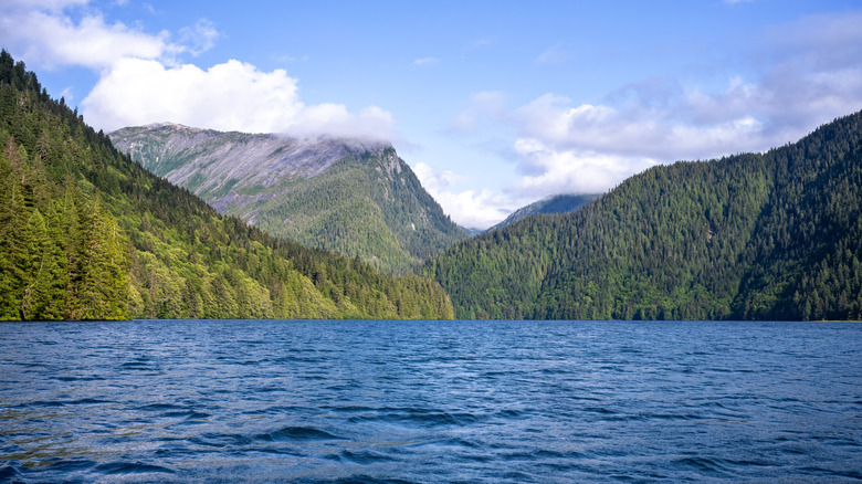 blue water surrounded by evergreen covered mountains, clouds and blue sky