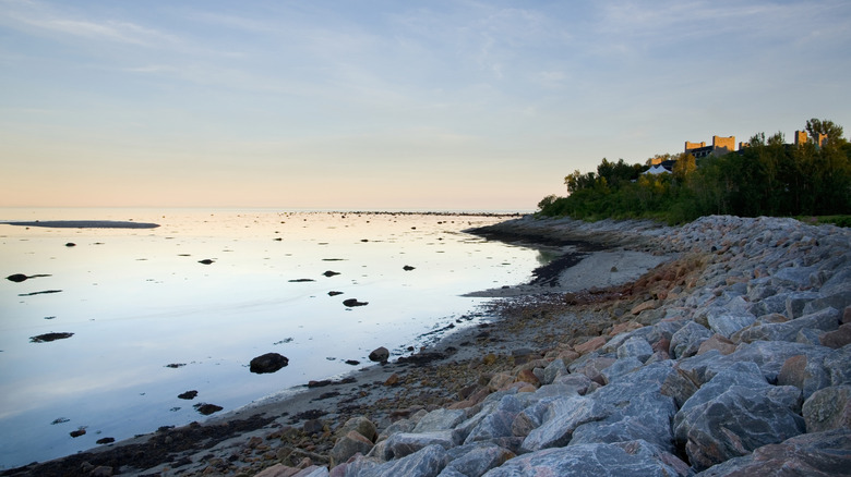 A rocky beach in Baie-Comeau, Quebec