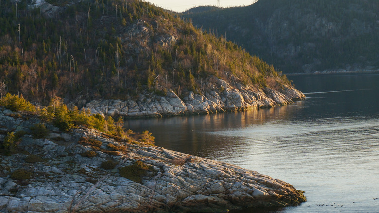 The rocky shores of Baie-Comeau