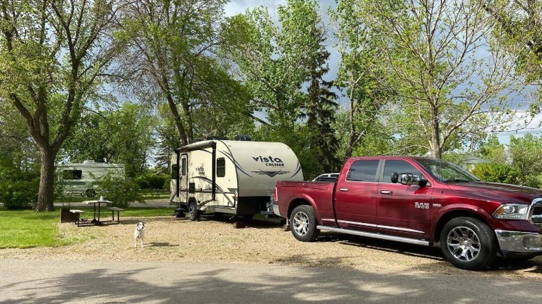 Travel trailer and pickup parked at River Park Campground in Weyburn, with the family dog watching