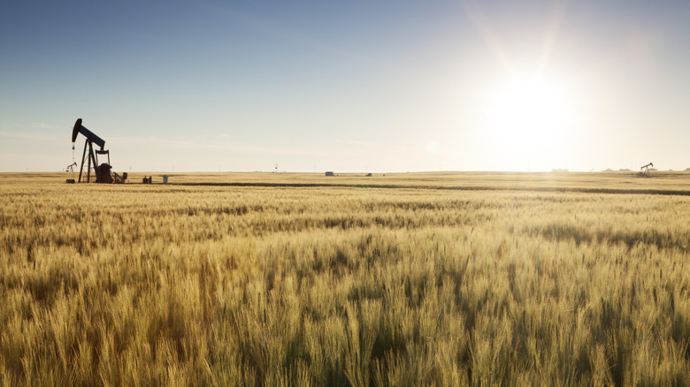 Canada's Friendly Prairie City Has Local Boutiques, Green Parks, And Riverfront Camping