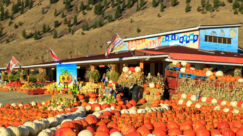 The Peach King fruit stand, Keremeos, Canada