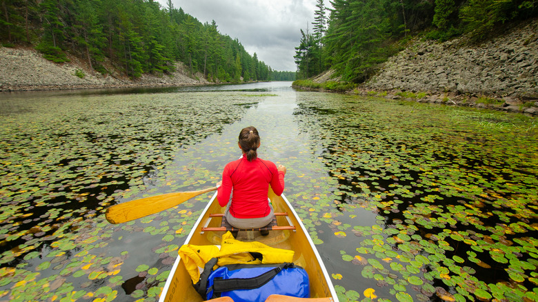 A woman canoeing along a river covered in lily pads