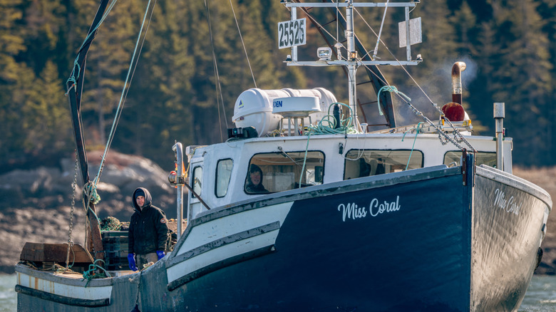 A commercial fishing boat off the New Brunswick coast
