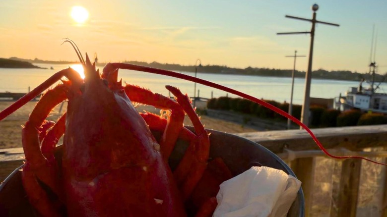 A lobster sits in a bucket overlooking a bay with the sun setting in the background in Yarmouth, Nova Scotia