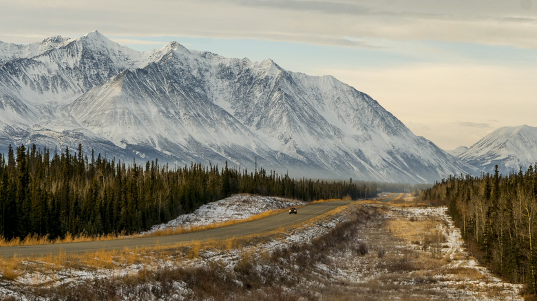 Kluane National Park, Yukon, Canada