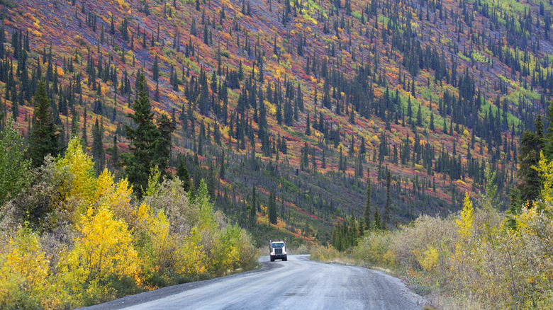 Road in Yukon, Canada, near Whitehorse