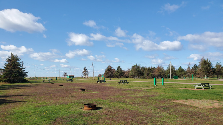 Empty field for camping site close to West Point Beach