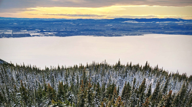 Pine trees stand rigid in the snow beside the frozen waters of Lake Stuart from the peak of Mount Pope in Canada