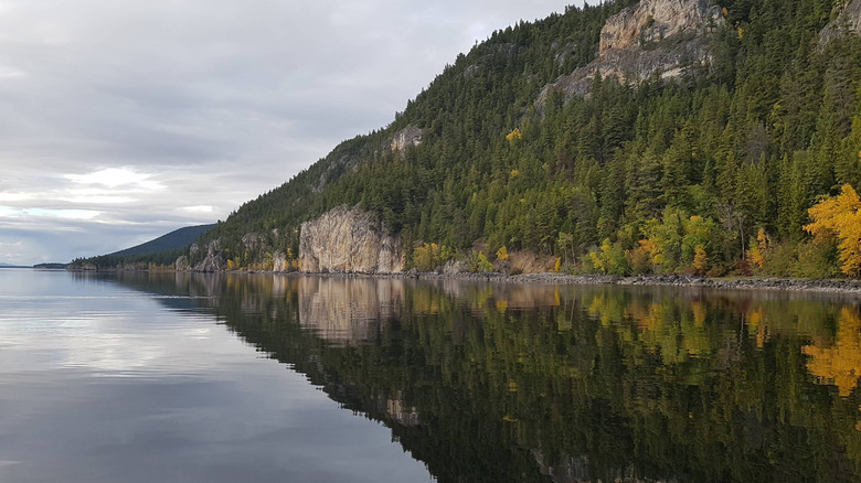 A pine forest sits on a cliffside in autumn reflected in the mirror still water of Lake Stuart on a cloudy day in British Columbia