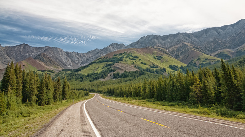 Highway pass road snaking through evergreen trees and mountains