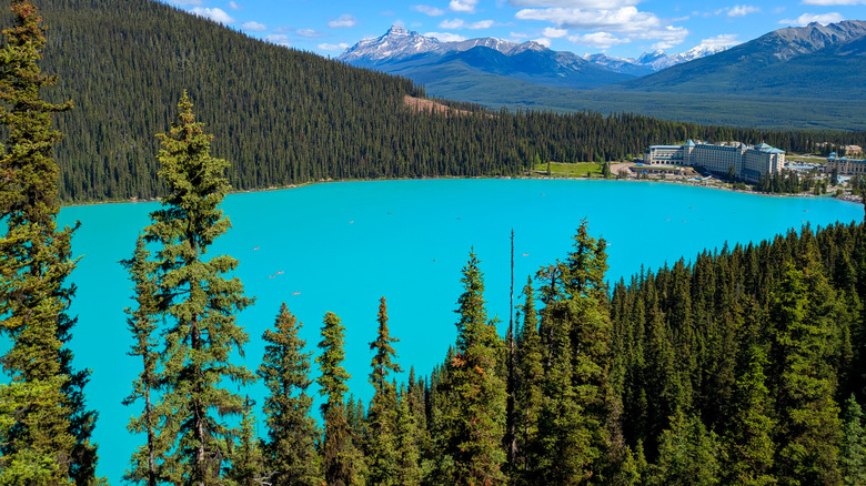 View of Lake Louise from a hiking trail with mountains in the background