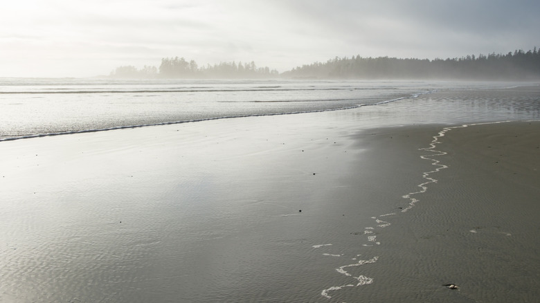 Low tide on a foggy day at Wickaninnish Beach
