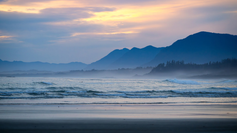 Waves rolling into shore at Wickaninnish Beach